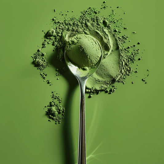 Small Habits, Big Shifts: Building a Wellness Routine That Lasts
